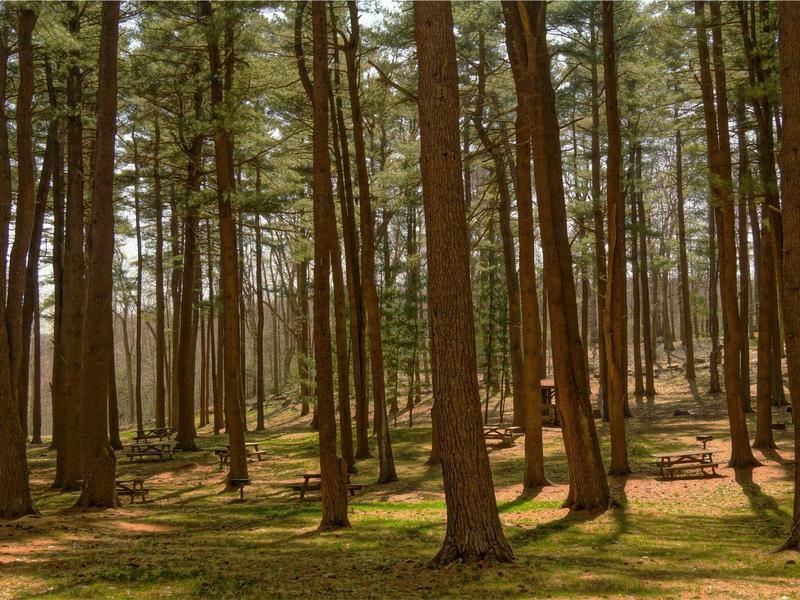 sudoku even odd sudoku screenshot 2